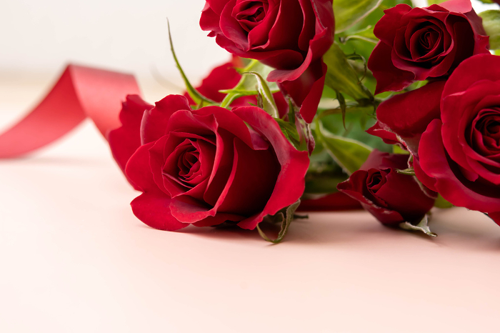 Image of a rose and ribbon gift