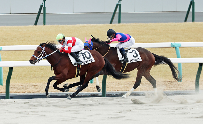 2024 3yrs old New horse race Make Debut Kyoto January 13, 2024 Horse Race 4R, Shinsa  New Horse , 1st place, No. 10, Danon Kaytu, jockey   Mochirai Iwata, location   Kyoto Racecourse