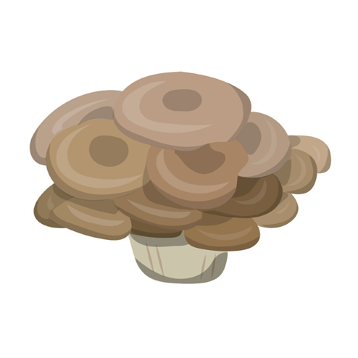 Clip art of oyster mushroom