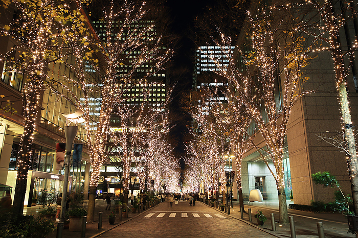 Marunouchi Illumination Marunouchi Nakadori Avenue, Tokyo