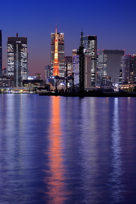 Night view of Tokyo Tower and surrounding skyscrapers in front of Aso dai Hills, Tokyo Taken from Toyosu Gururi Park