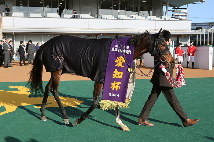 2024 Aichi Hai G3           Mikki Gorgeous won the Aichi Hai at Kokura Racecourse in Fukuoka, Japan, January 13, 2024.  Photo by Eiichi Yamane AFLO 