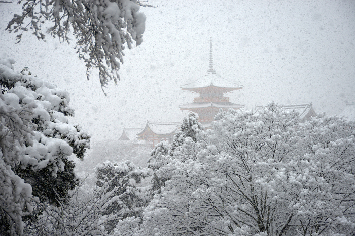 Three-storied pagoda of Kiyomizu Temple in snow Higashiyama-ku, Kyoto