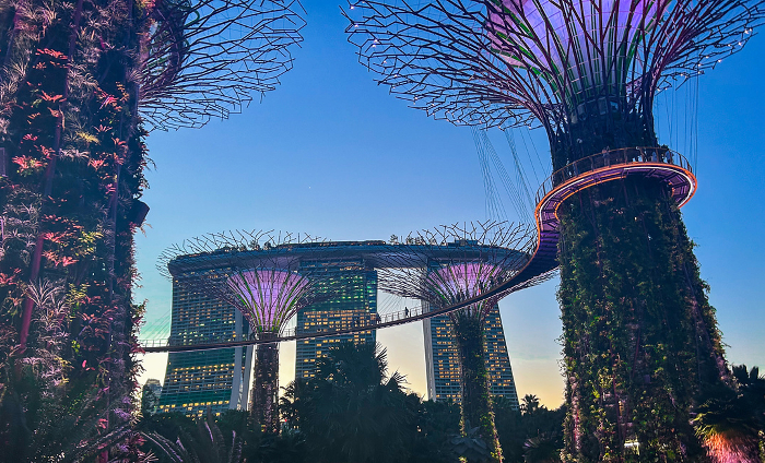 Gardens by the Bay and Marina Bay Sands lit up