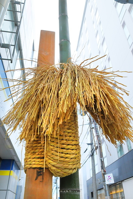 Saidake, a bamboo used to stretch shimenawa (sacred straw ropes) cut by children of the naginoko floats of the Gion Festival, Kyoto, Japan.