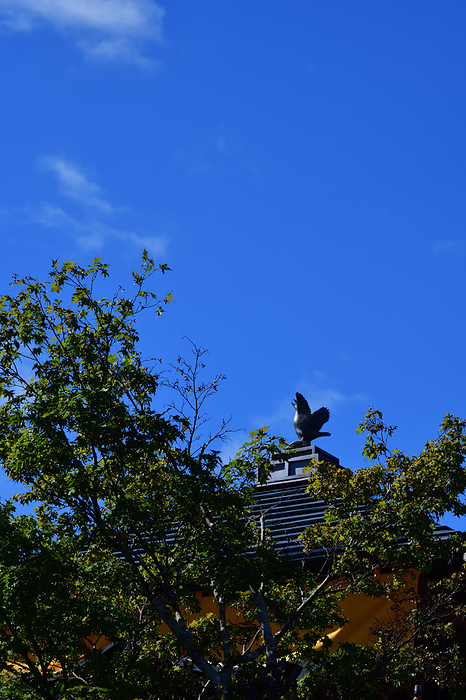 Ise, Thanks Yokocho, drum tower, yatagarasu, Mie Pref. It was a beautiful sunny day. The sky that Yatagarasu looks up at is the clearest and most pleasant of the year.