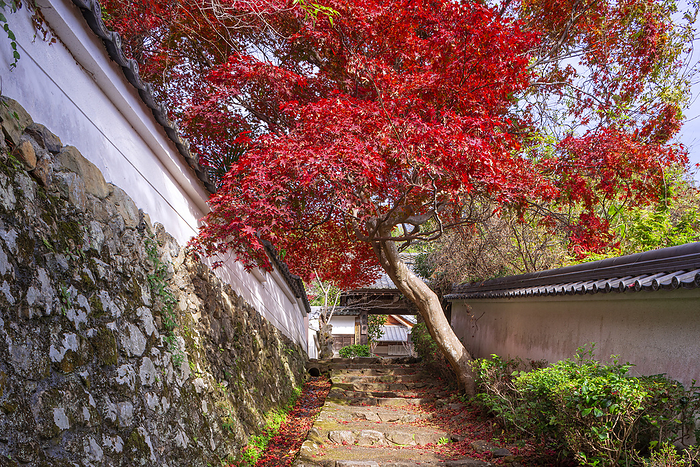 Shojiji Temple Oharano, Kyoto Temple associated with Saigyo South Gate of Shojo ji Temple