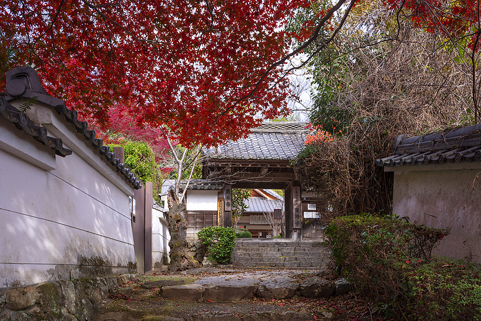 Shojiji Temple Oharano, Kyoto Temple associated with Saigyo South Gate of Shojo ji Temple