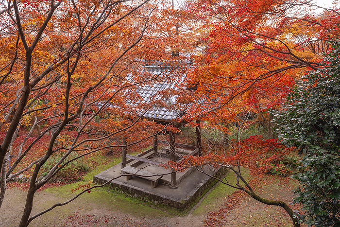 Shojiji Temple Oharano, Kyoto Temple associated with Saigyo Belfry Hall seen from Fudo Hall 