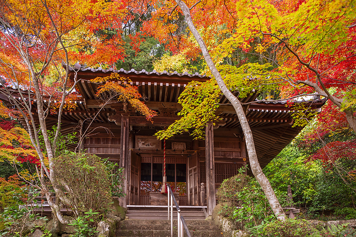 Shojiji Temple Oharano, Kyoto Temple associated with Saigyo Shojo ji Temple Fudo Hall 