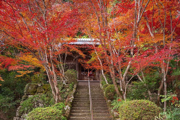 Shojiji Temple Oharano, Kyoto Temple associated with Saigyo Shojo ji Temple Fudo Hall 