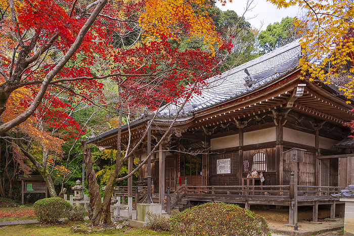 Shojiji Temple Oharano, Kyoto Temple associated with Saigyo Amidado Hall of Shojo ji Temple 