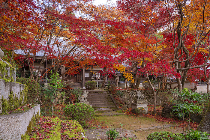 Shojiji Temple Oharano, Kyoto Temple associated with Saigyo Amidado Hall of Shojo ji Temple 