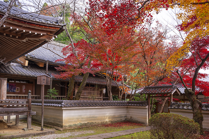 Shojiji Temple Oharano, Kyoto Temple associated with Saigyo Shojo ji Temple Rurikouden 