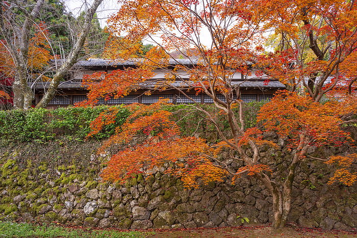 Shojiji Temple Oharano, Kyoto Temple associated with Saigyo