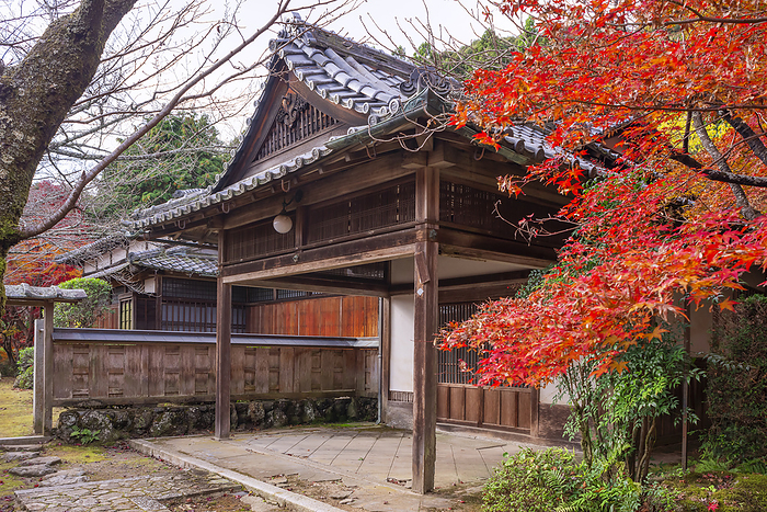 Shojiji Temple Oharano, Kyoto Temple associated with Saigyo