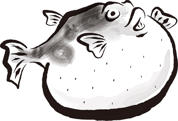 Clip art of blowfish Sumie style