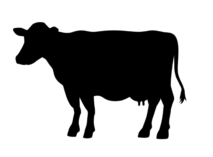 Black silhouette of dairy cow