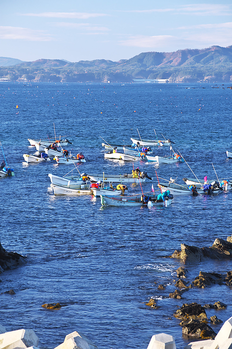 Abalone fishing in Oisezaki, Miyagi Prefecture From Isezaki
