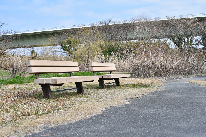 Bench on riverbed