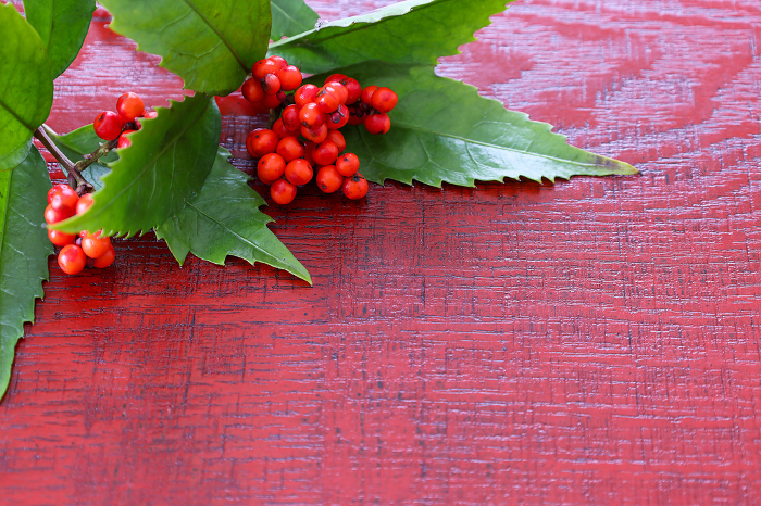 Red berries and leaves placed on lacquered board
