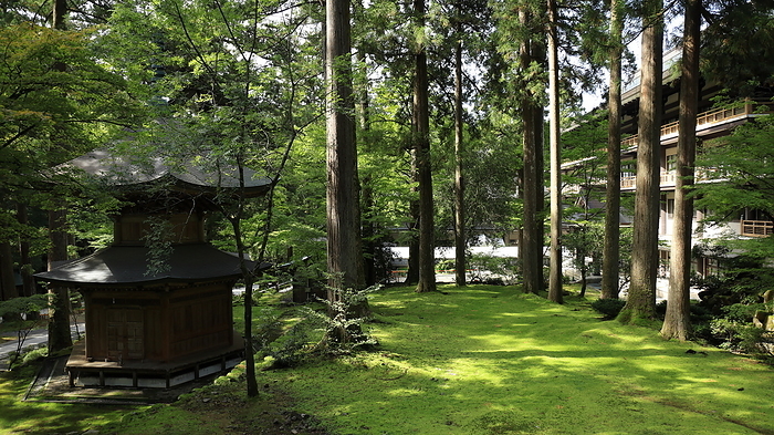 Eiheiji Temple, Fukui Prefecture