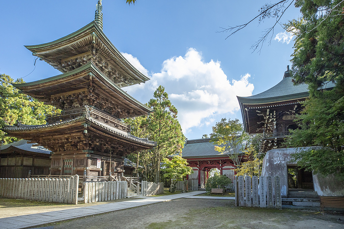 Senkouji Temple Senkouji Temple