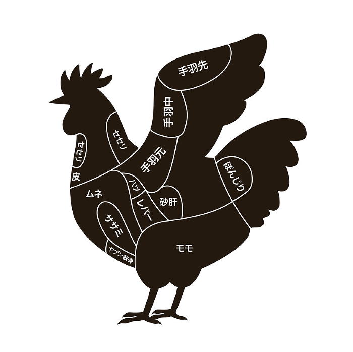 Chicken silhouette and diagram showing chicken parts
