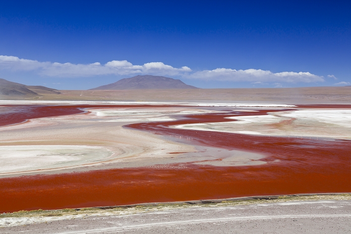 Laguna Colorada, Bolivia South America, Bolivia, Atacama Desert, Altiplano, Laguna Colorada