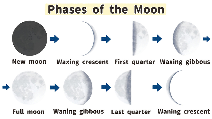 Moon phases and their names Illustrated illustrations in English