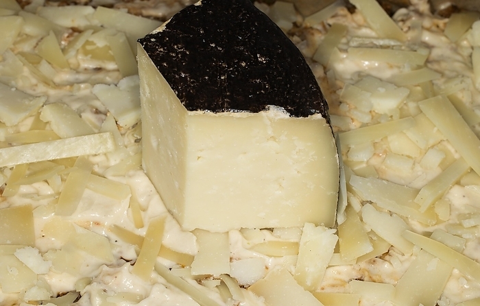 Sardinian pecorino, cheese shaved on a lasagne
