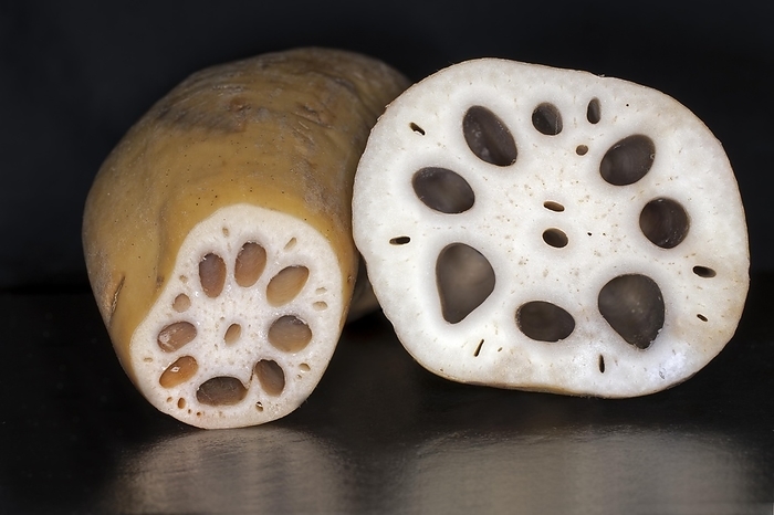 Sliced lotus root, food photography with black background