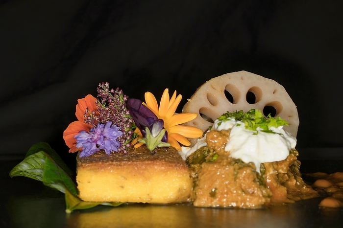 Indian curry korma, with yoghurt, fried polenta slice, slice of lotus root and meadow flowers as decoration on an avocado leaf, foddfotography with black background