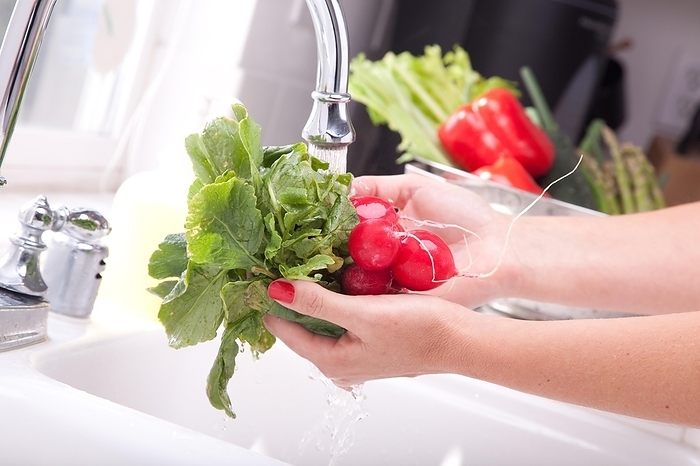 Woman washing radish in the kitchen sink
