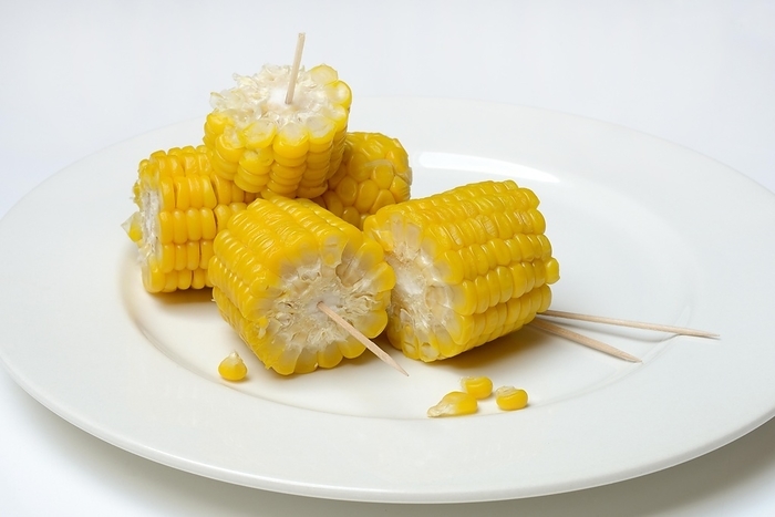 Cooked corn cobs, cut up, on plate, Germany, Europe
