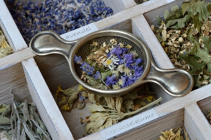 Various dried plants in wooden box with tea strainer, make your own tea blend, Germany, Europe