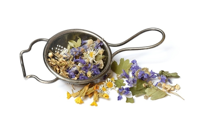 Herbal tea blend in tea strainer, Germany, Europe