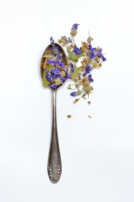 Herbal tea blend in teaspoon, Germany, Europe