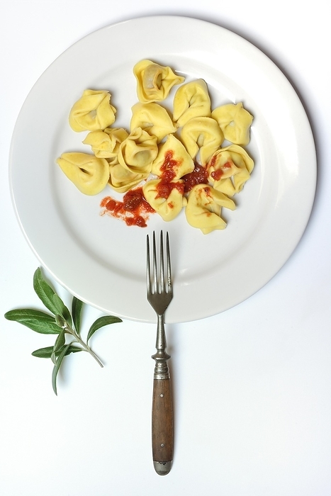 Pasta on plate with fork, tortelloni