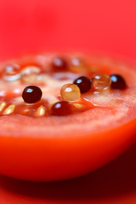 Aceto pearls on tomato, Aceto Balsamico di Modena, vinegar