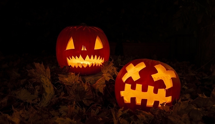 Glowing pumpkins at night, pumpkin face, carved pumpkins, grimace, halloween, dark background