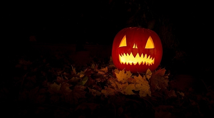 Glowing pumpkins at night, pumpkin face, carved pumpkins, grimace, halloween, dark background