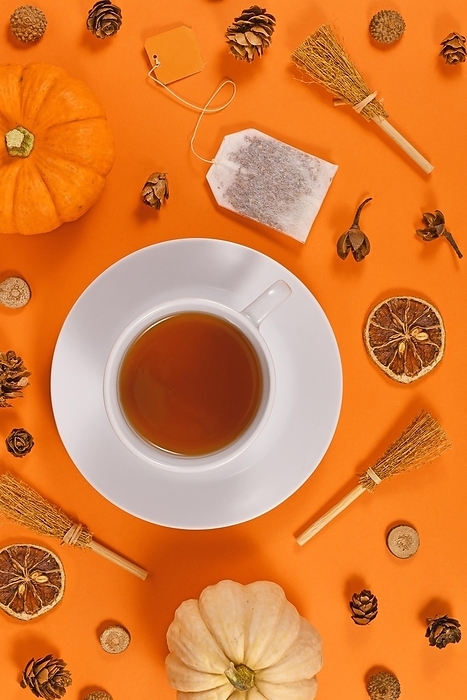 Tea cup surrounded by seasonal fall decoration like pumpkins and orange slices on orange background
