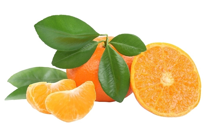Tangerine tangerine fruit fruit vegan, cutout, white background, Germany, Europe