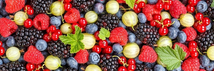 Berries Fruits Berry Fruit Strawberries Strawberry Blueberries Blueberry Panorama Background, Germany, Europe