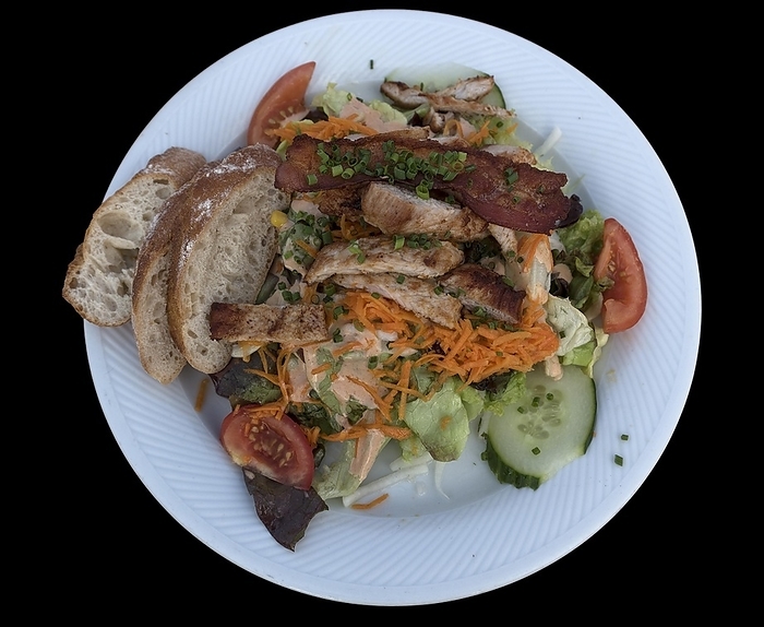 Salad plate with roasted turkey strips on a black background, Bavaria, Germany, Europe