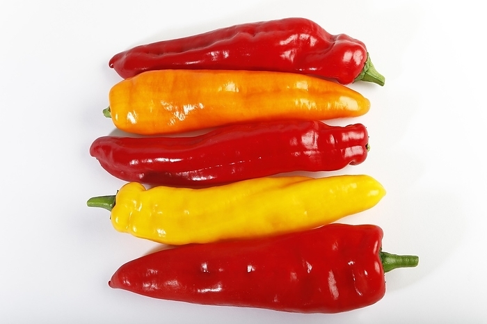 Red, yellow and orange pointed peppers (Capsicum annuum), vegetables, studio photo, Germany, Europe