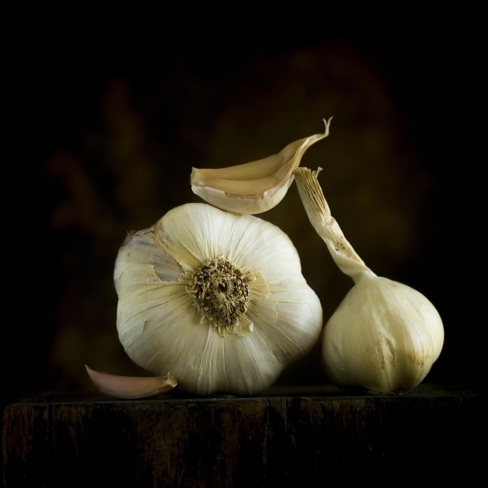 Fresh garlic on black background, studio shot, France, Europe