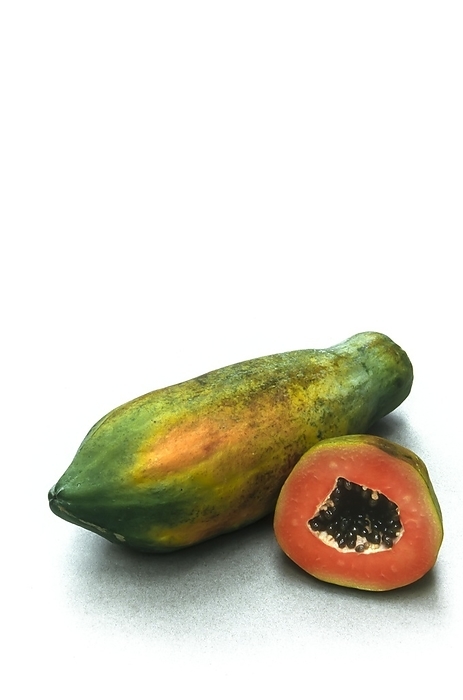 Pawpaw (Carica papaya) yellow
