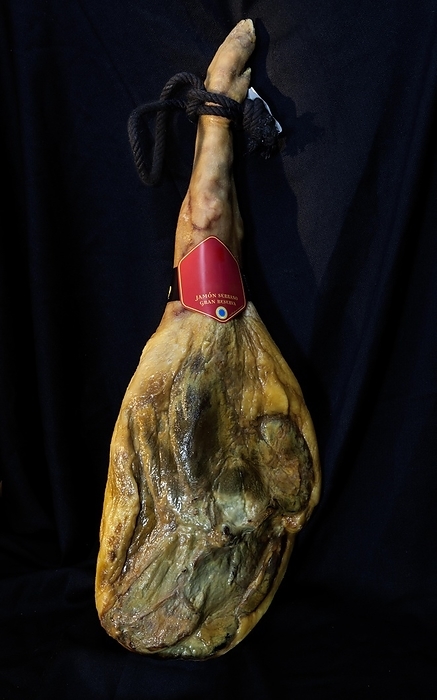 A piece by Jamon Serrano, factory in Cantimpalos, province of Segovia, Spain, Europe